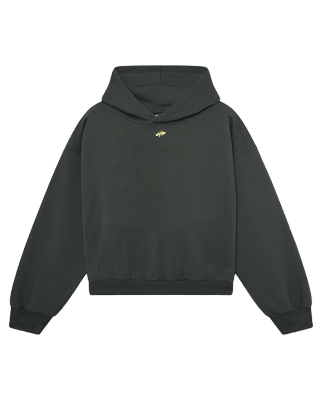 CREST GRAY HOODIE