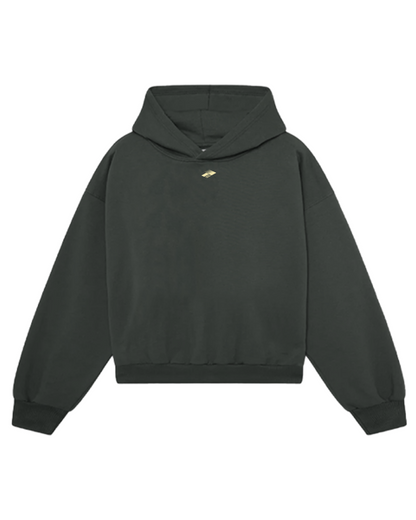 CREST GRAY HOODIE